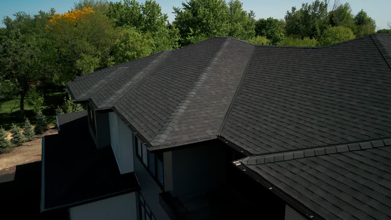Professional Roofing Services in Dewitt, MI